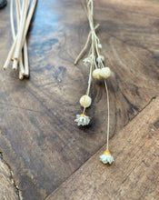 Load image into Gallery viewer, Dried Flowers
