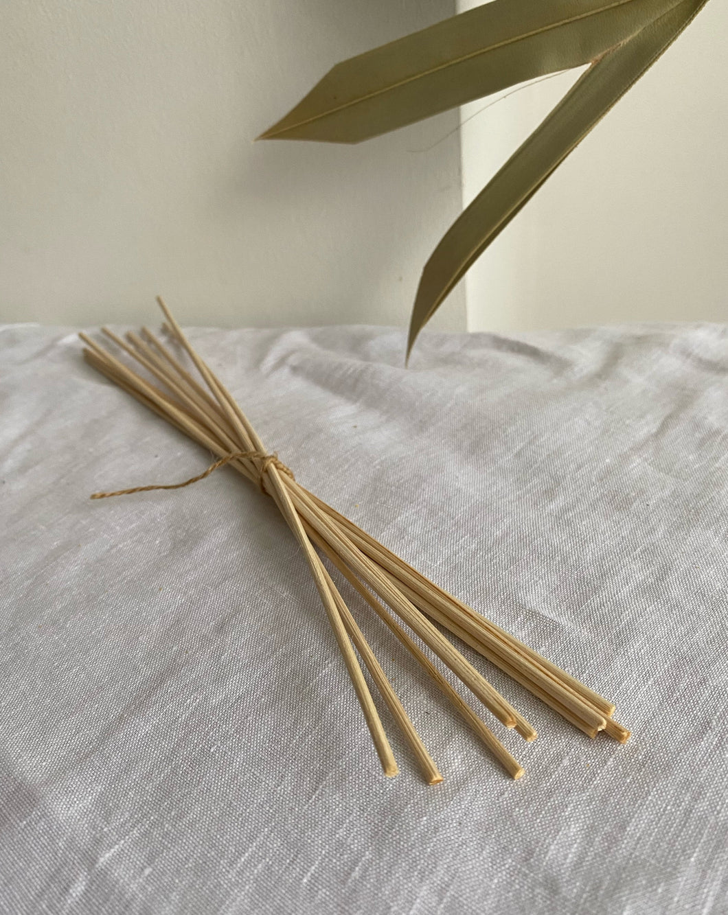 Rattan Reeds